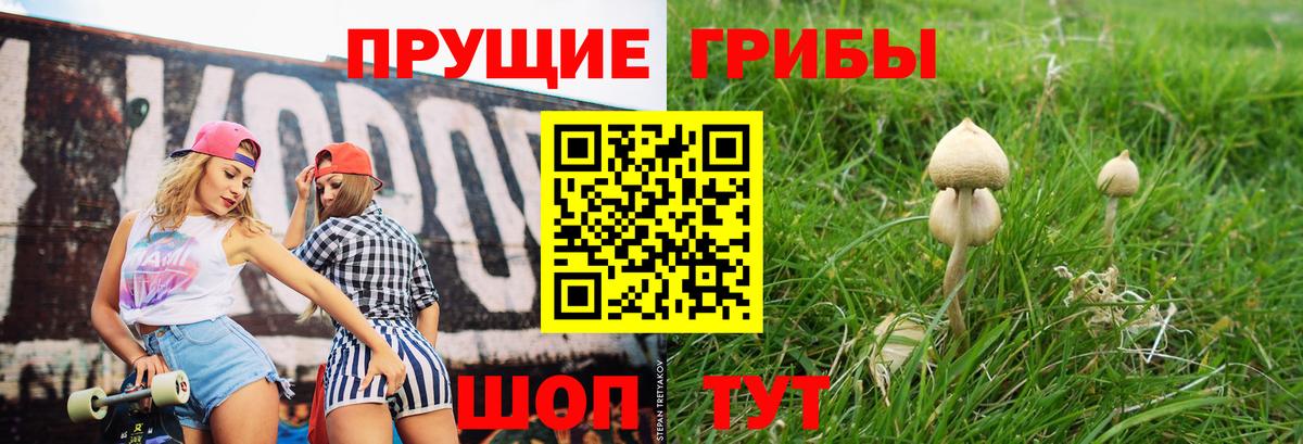 Томск  Галлюциногенные грибы мухоморы  Псилоцибиновые грибы Psilocybine cubensis  Вход с VPN 